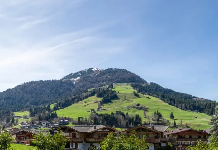 AUSBLICK