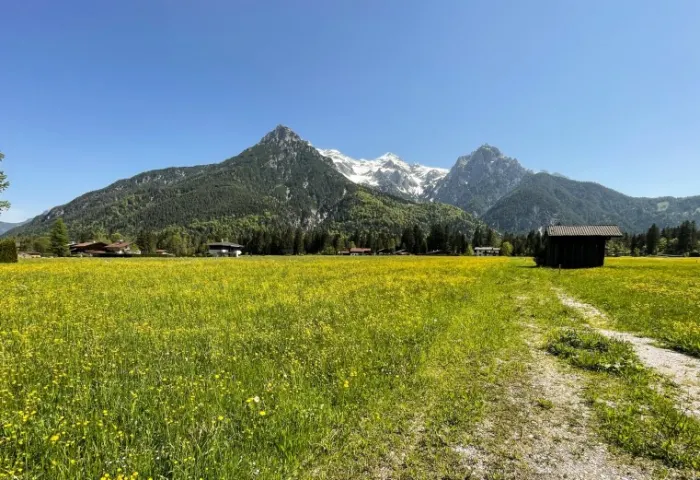 STEINERGE